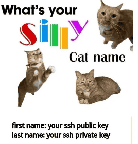 What’s your silly cat name? First name: your SSH public key. Last name: your SSH private key.